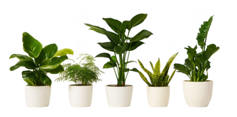 A serene arrangement of five diverse indoor plants in white pots against a soft beige background. green foliage. perfect for home decor or interior design inspiration