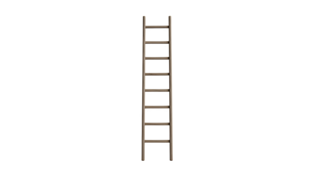 Tall metal ladder stands vertically against a plain white background.