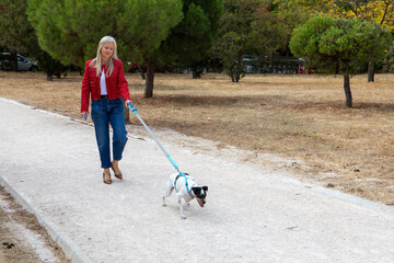 Walking a cheerful dog through a peaceful park on a sunny afternoon with vibrant trees and a gentle...