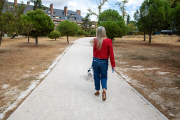 Walking a small dog down a peaceful path lined with trees on a sunny day in a suburban park setting