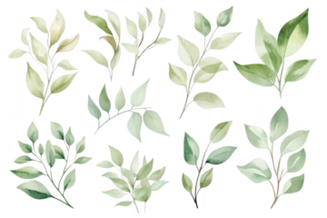 A collection of delicate watercolor leaves various shades of green and forms. perfect for botanical illustrations. nature-themed designs. or eco-friendly projects