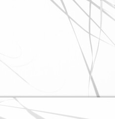 Grey wall shadow background kitchen floor white abstract studio concrete table white texture light texture mockup product marble room display plant cement minimal shelft bar leaves backdrop