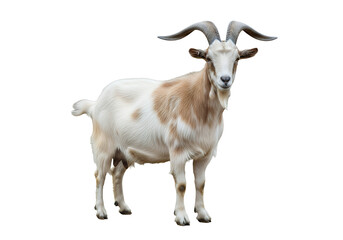 Majestic goat standing tall, a symbol of resilience and charm, perfect for farm, nature, and animal-themed projects, bring a touch of rustic elegance