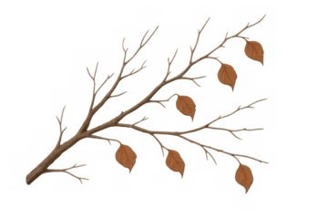 Bare tree branch with brown autumn leaves, isolated on a transparent background, depicting fall season change