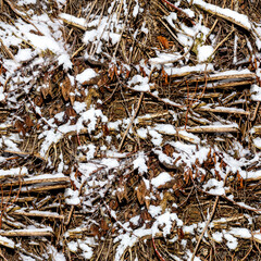 Seamless 4k photo texture of hay and brunches pile surface material covered in snow.