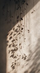 Sunlit Shadows - Delicate String of Hearts Plant Casting Patterns on Textured Wall.