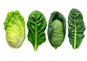 Diverse greens leafy cabbage, spinach, and kale on black
