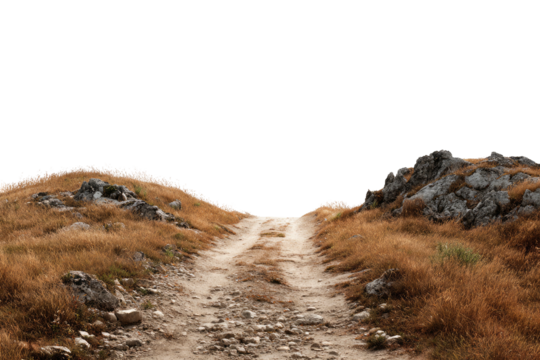 Dirt path cuts through dry grass and rocky terrain