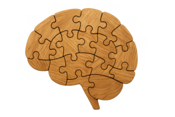 Brain puzzle made from wood pieces. Concept of mental health, intelligence, memory, learning, and finding solutions on transparent background