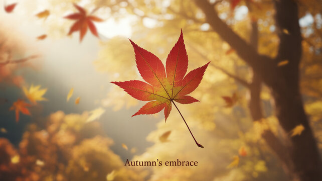 A single, vibrant red and yellow maple leaf floats gracefully against a soft-focus, sunlit autumn forest background. - Powered by Adobe