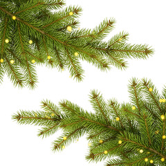 Festive evergreen pine branches with holiday lights decoration for seasonal banner design template isolated PNG with Transparent Background