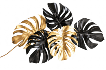 A stunning arrangement of black and gold monstera leaves artistically displayed on a clean white background. perfect for nature-themed decor or modern design projects