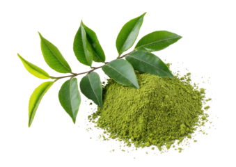 Green powder with leafy sprig atop, isolated view