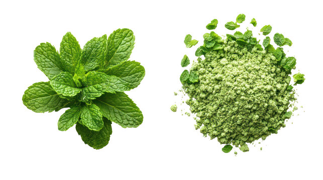 Fresh mint leaves and dried mint flakes isolated on transparent background - Powered by Adobe