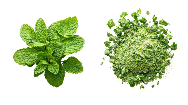 Fresh mint leaves and dried mint flakes isolated on transparent background