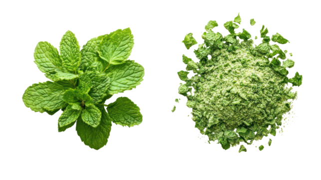 Fresh mint leaves and dried mint flakes isolated on transparent background