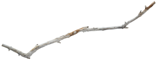 Wooden branch. Natural beach driftwood branch. Crafts Decor, aquarium, terrarium, bird perch. Habitat designs weathered wood piece with organic texture, ideal for natural displays, creative projects