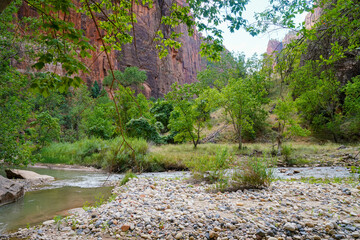 A quiet riverside clearing with smooth stones, flowing water, and lush greenery beneath towering canyon walls in Zion National Park.