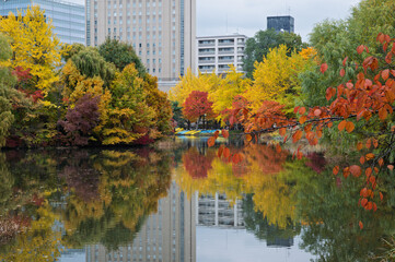 秋彩映す中島公園の湖畔