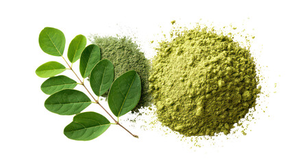 Natural moringa leaves and finely ground moringa leaf powder on transparent background