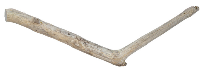 Obraz premium Wooden branch. Natural beach driftwood branch. Crafts Decor, aquarium, terrarium, bird perch. Habitat designs weathered wood piece with organic texture, ideal for natural displays, creative projects