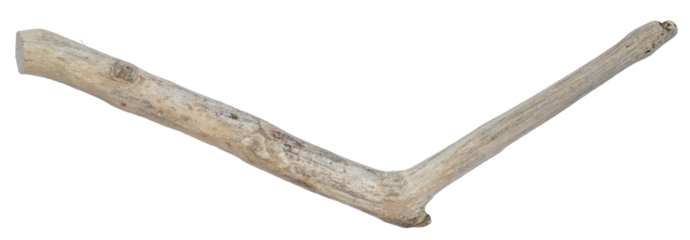 Wooden branch. Natural beach driftwood branch. Crafts Decor, aquarium, terrarium, bird perch. Habitat designs weathered wood piece with organic texture, ideal for natural displays, creative projects