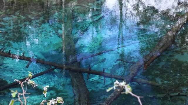 北海道斜里郡清里町2025秋-神の子池-04