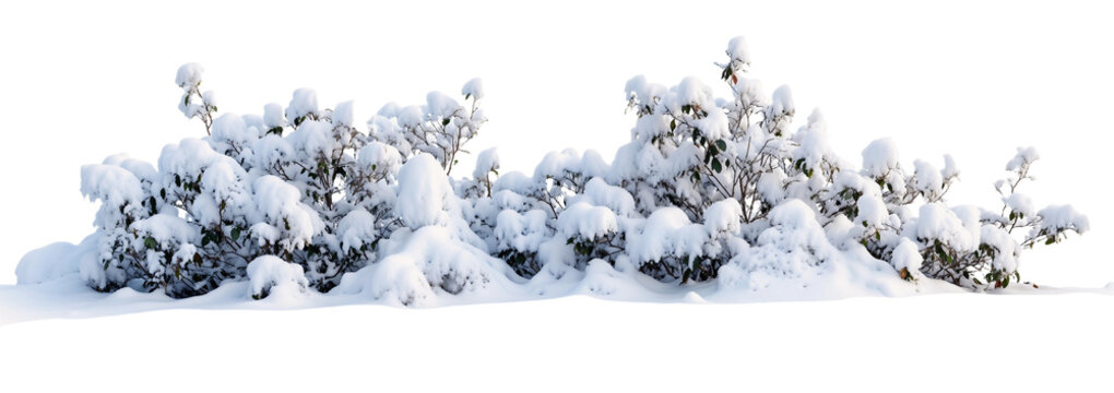 Row of small bushes or shrubs heavily covered with fresh white snow against transparent background, creating stark winter landscape element for seasonal design projects - Powered by Adobe