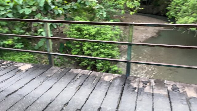 Close-up view of deteriorating wooden planks on an old rural bridge surrounded by dense green vegetation.