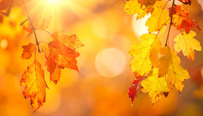 Landscape autumn leaves falling natural background colorful autumn background falling leaves natural background copy space
