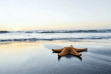 Fototapeta premium Vibrant starfish on wet beach sand at sunset with gentle ocean waves. Tranquil coastal nature scene showcasing marine life, seaside beauty, and a peaceful tropical evening atmosphere.