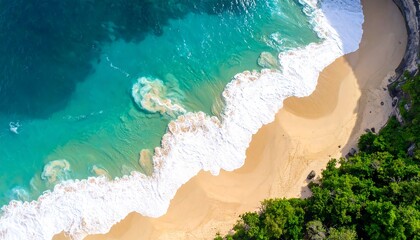 Aerial view of a sandy beach where turquoise waves meet the shore bordered by green foliage