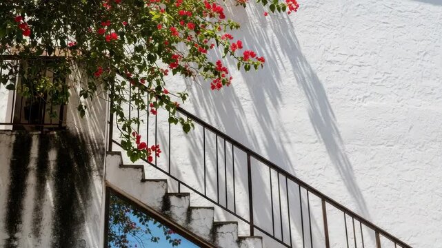 White textured wall with an outdoor staircase and metal railing. Vibrant red bougainvillea flowers and green leaves cascade, with bright sunlight creating dynamic shadows