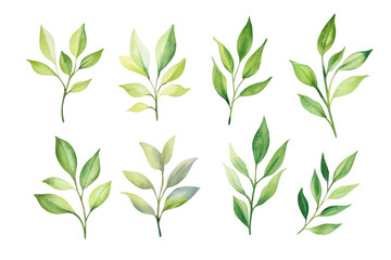 A collection of beautifully illustrated green leaves in various shapes and sizes. the diversity of foliage. perfect for use in nature-themed designs. backgrounds. or botanical illustrations