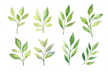 A collection of beautifully illustrated green leaves in various shapes and sizes. the diversity of foliage. perfect for use in nature-themed designs. backgrounds. or botanical illustrations