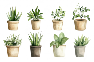 A collection of various indoor plants in terracotta pots. a diverse range of greenery. including succulents and leafy plants. ideal for home decor and gardening inspiration