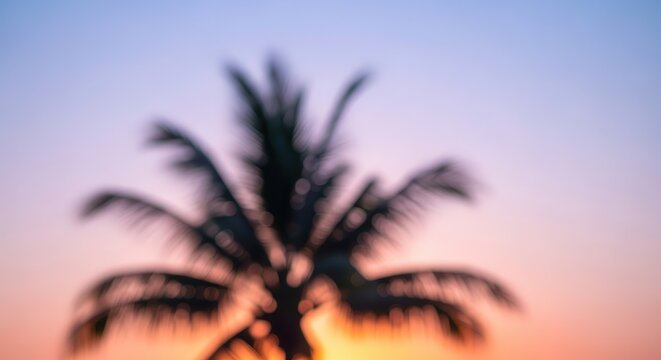 Blurred silhouette of a tropical palm tree fills the lower portion of a colorful twilight sky