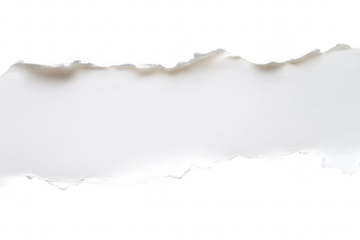 A close-up view of a torn edge of white paper. the texture and irregularities of the tear. set against a clean. bright background. ideal for design and creative projects