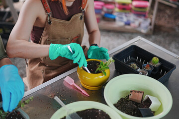 Young Asian Mastering Cactus Cultivation at Sustainable Workshop on Cactus Farm to Inspire Earth Care