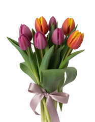 Pink orange tulips bouquet ribbon isolated on a transparent background