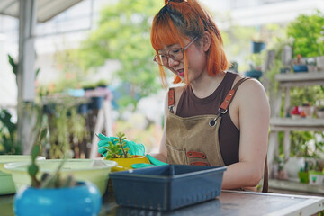 Young Asian Gen Z Woman Planting Cacti with Care at an Eco-Friendly Farm