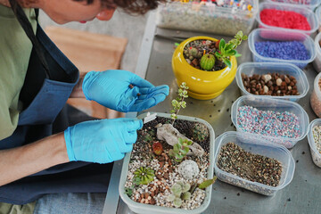 Young Asian Gen Z Men and Women Running Eco-Friendly Cactus Farm Business for Modern Youth