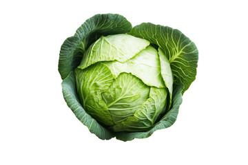 Obraz premium Fresh green cabbage with tightly packed leaves. placed on a clean white background. its color and texture. ideal for culinary and health-related content