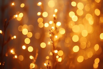 warm golden bokeh of glowing string lights entwined with delicate dried grass stems, soft blurred light orbs creating a cozy dreamy intimate atmosphere