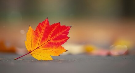 A single red maple leaf on a wooden surface with blurred autumn leaves in the background.