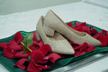 Zapato elegante entre petalos de rosas