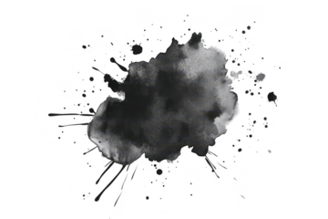 A dynamic black ink splash on a white background. fluid motion and artistic expression. suitable for creative projects. graphic design. and abstract art