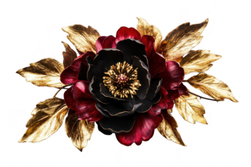 A stunning arrangement of a black and burgundy flower with golden leaves. set against a clean white background. perfect for decorative purposes or artistic displays