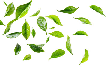 Naklejka premium A collection of fresh green tea leaves gracefully falling against a clean white background. symbolizing natures beauty and purity. ideal for wellness and culinary themes