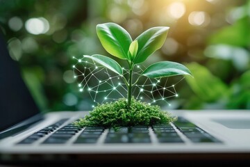 small green seedling and moss growing on a laptop keyboard with glowing digital network lines around leaves, warm sunlight and hopeful sustainable innovation mood